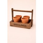 Flora Seedlings box 