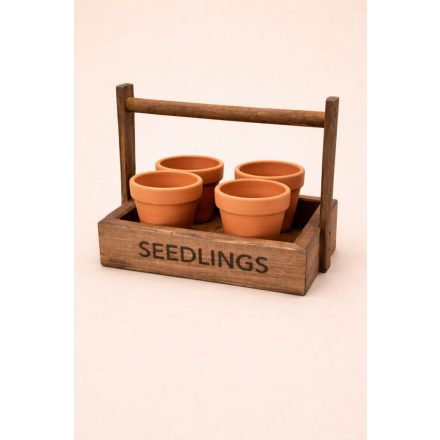 Flora Seedlings box 