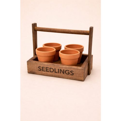 Flora Seedlings box 